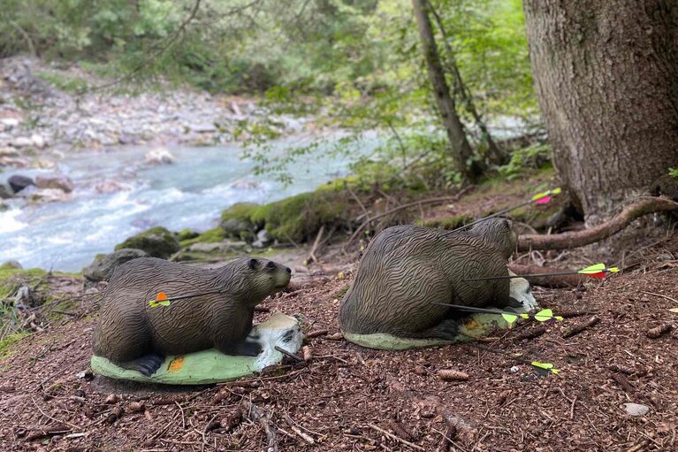 Bogenschießen im Wipptal an der Sill | © Daniela Achmüller