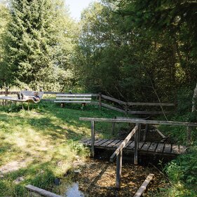 Die Kneippanlage in Trins im Bergsteigerdorf Gschnitztal | © TVB Wipptal | Victoria Hörtnagl
