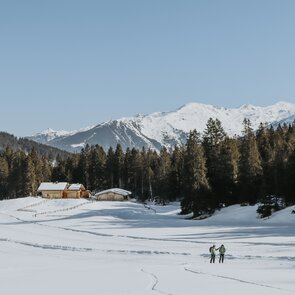 Wipptraverse - Skitourengeher bei der Matreier Ochsenalm auf dem Weg zum Kalbenjoch in Trins | © TVB Wipptal - Nicole Fiedler