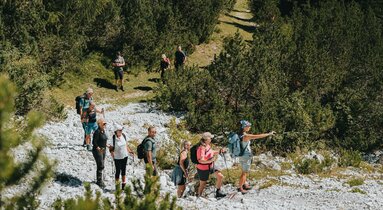 Eine Gruppe von Wanderern wird von einer Bergwanderführerin angeführt | © TVB Wipptal - Johannes Bitter