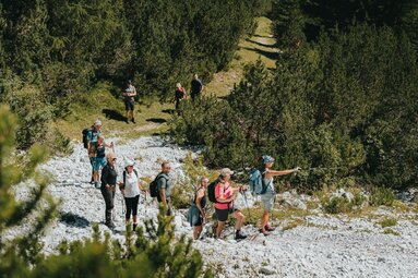 Eine Gruppe von Wanderern wird von einer Bergwanderführerin angeführt | © TVB Wipptal - Johannes Bitter