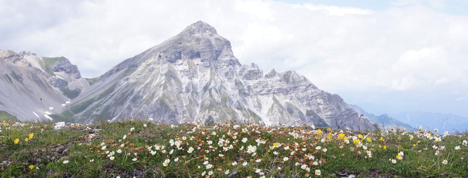 Blühende Bergwiese am Blaser im Frühling mit Serles im Hintergrund | © Wolfgang Bacher
