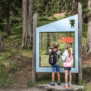 Ein Junge und ein Mädchen stehen an einer Infotafel im Wald | © Ewelina Herzog