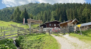 Eine urige Almhütte steht vor einem Wald in den Bergen | © Daniela Plattner