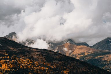 herbstliche Stimmung am Padauner Kogel | © TVB Wipptal | Johannes Bitter