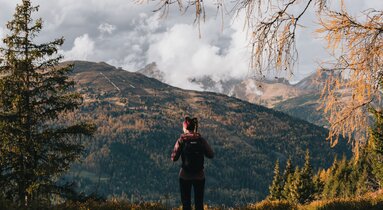 Eine Wanderin von hinten, die in die leicht nebelverhangene, herbstliche Bergkulisse blickt | © TVB Wipptal | Johannes Bitter
