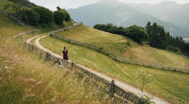 Eine Wanderin auf einem Forstweg inmitten von Feldern | © TVB Wipptal | Johannes Bitter