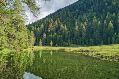 Das Wasser dieses “Sees” entspringt am Ende der Wiese aus Quellen. | © TVB Wipptal | Judith Hammer