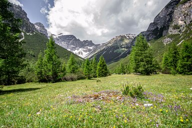 Direkt vor der Hubertuskapelle befindet sich ein ebener Platz mit einem tollen Blick die umliegenden Berge und ins Hinterennstal. | © TVB Wipptal | Judith Hammer