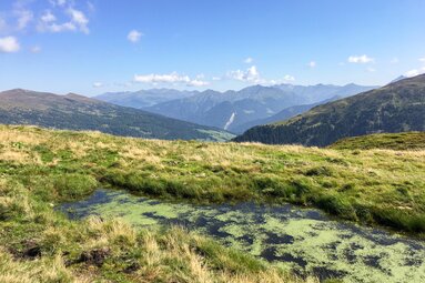 Entlang des Weges gibt es mehrere Tümpel und Teiche – hier mit Blick nach Nordosten. | © TVB Wipptal | Judith Hammer