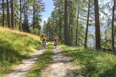 MTB-Weg mitten durch den lichten Lärchenwald | © TVB Wipptal