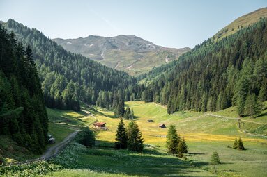 Hinter dem unscheinbaren Taleingang versteckt sich ein schönes Almgebiet. | © Christoph Partsch