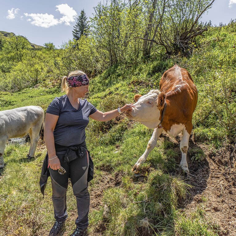 Eine Frau berührt eine Kuh an der Schnauze | © TVB Wipptal | Helena Beermeister