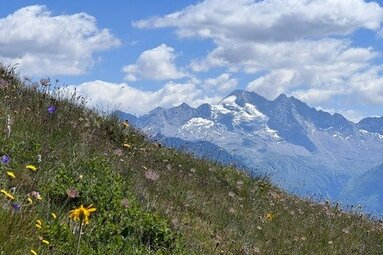 Kammwanderung zum Lichtsee - Blick auf den Olperer im Schmirntal | © TVB Wipptal |Daniela Achmüller