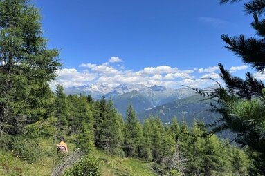 Wanderweg Nr. 125 vom Lichtsee ins Ortszentrum von Obernberg mit Bergpanorama | © TVB Wipptal | Daniela Achmüller