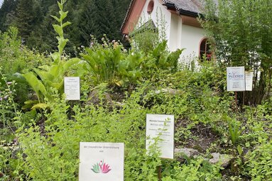 Kraeutergarten Muehlendorf | © Daniela Achmueller