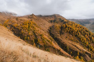 Blick vom Durrachjöchl Richtung Fischers Napf, der in herbstlicher Stimmung liegt | © TVB Wipptal / Johannes Bitter