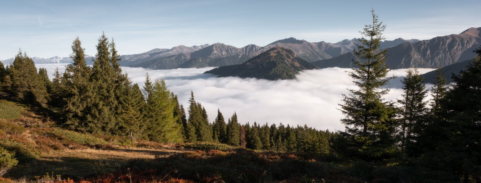 Wandern im Herbst - über der Nebelgrenze im Wipptal | © Vincent Croce | TVB Wipptal