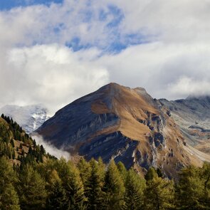 Sattelbergalm Ausblick auf Berge
