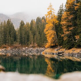 Herbstlich gefärbte Lärchen mit dem Obernbergersee im Vordergrund